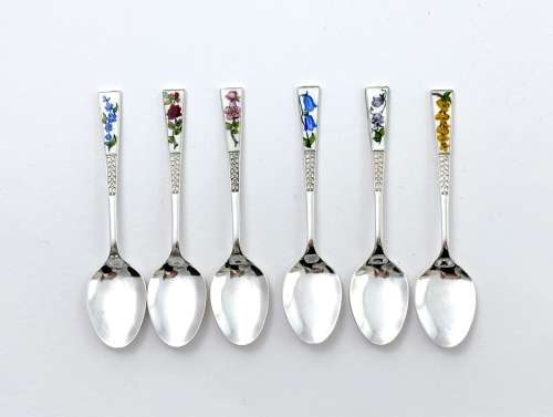 A Set of 6 Antique Silver Enamel Spoons with Flowers the Month